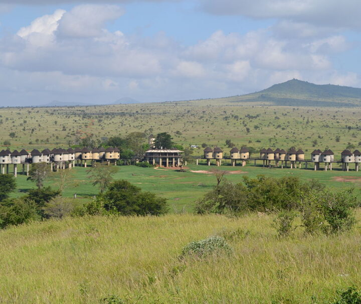 8 Days Safari In Tsavo, Amboseli, Naivasha, Nakuru
