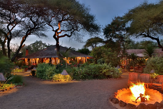Kibo-safari camp