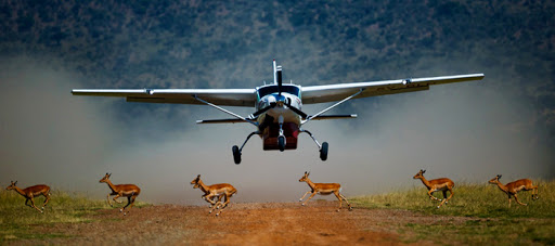Masai Mara Game Reserve Flying Safari 3 Days 2 Nights