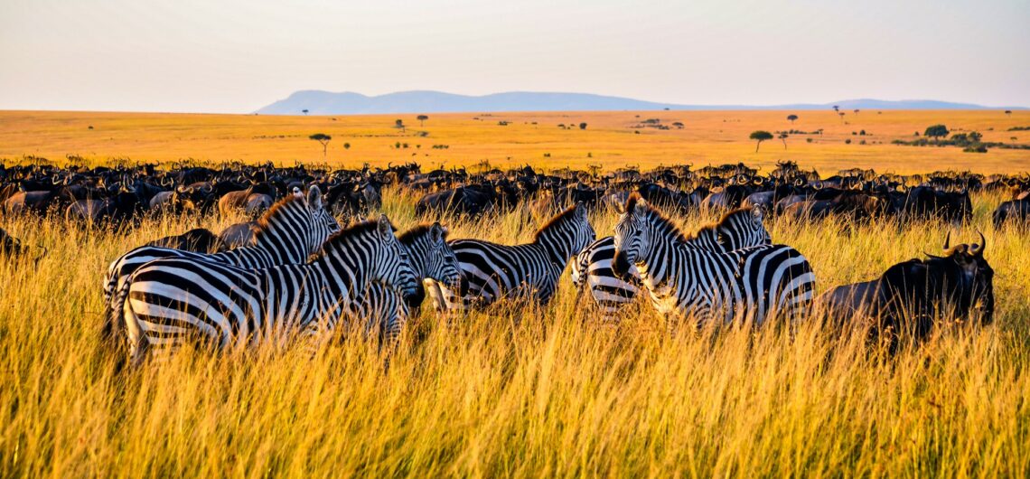 Top 10 Kenya Safari Destinations