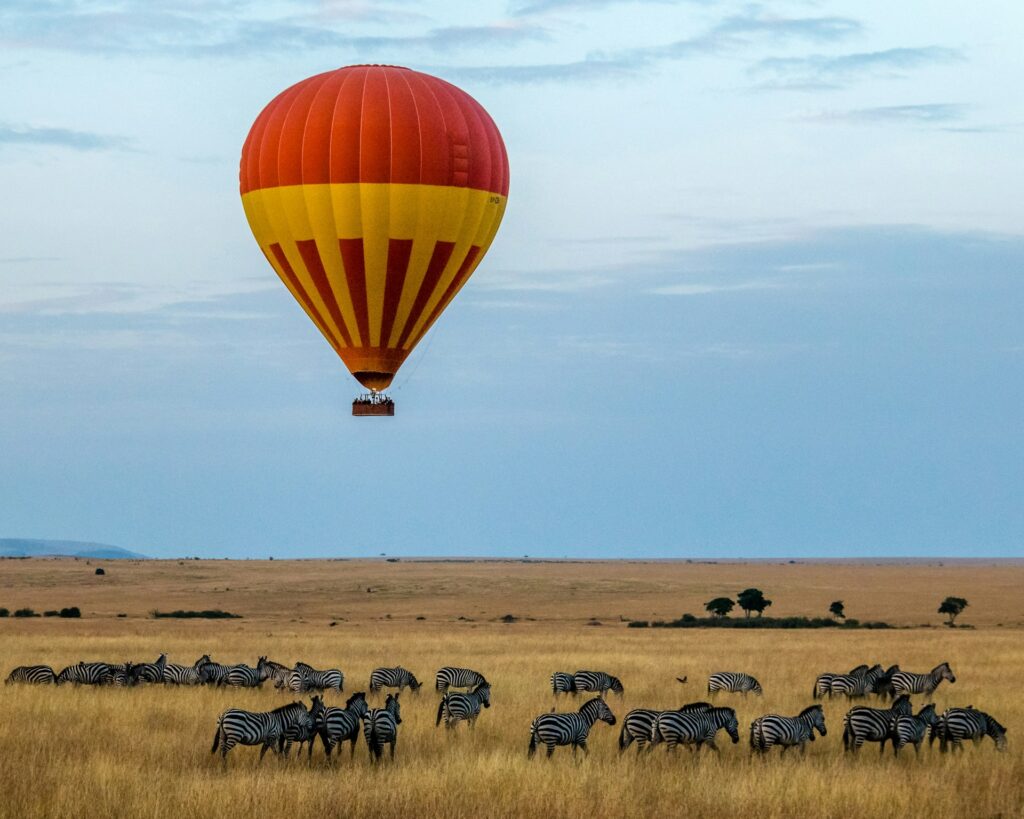 The Ultimate Guide to a Kenyan Safari