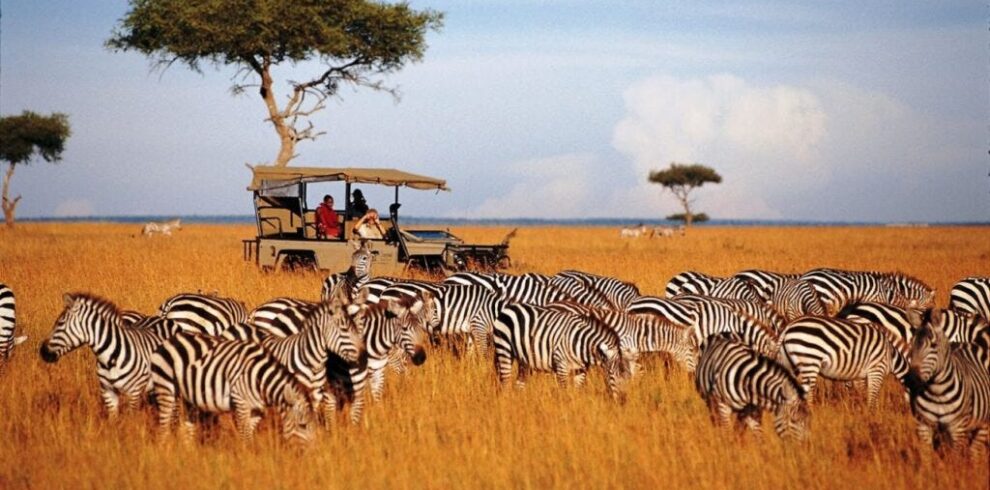 Lake Nakuru National Park 1 Day Trip