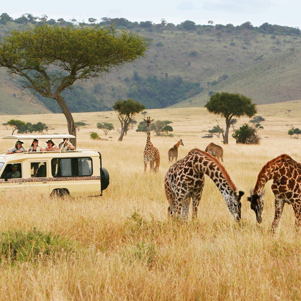 Nairobi National Park Half Day Tour