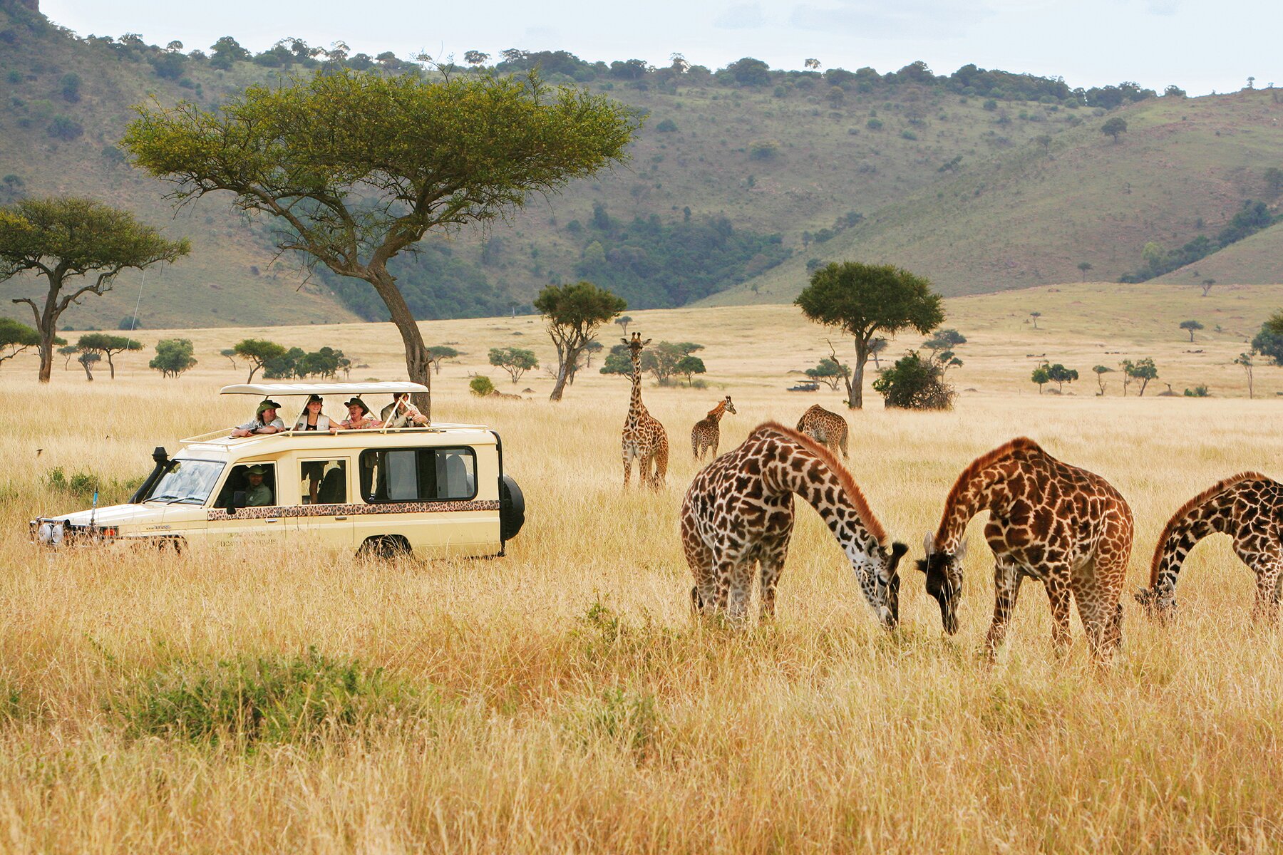 Nairobi National Park Half Day Tour