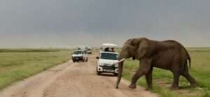 best-time-to-visit-kenya-for-safaris-unveiling-the-seasons