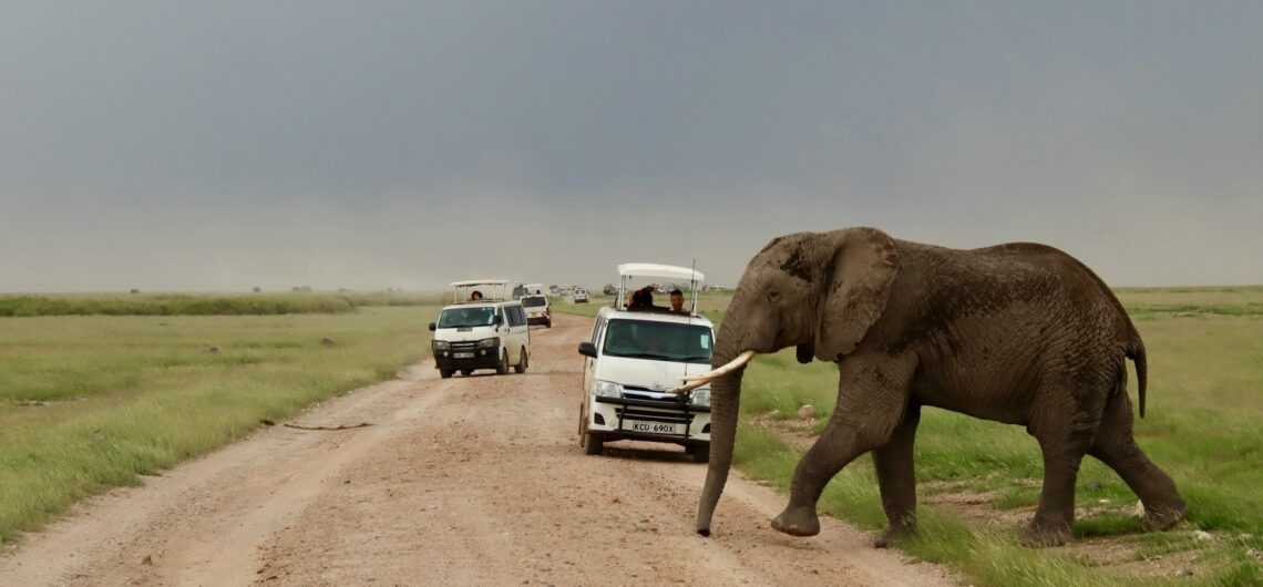 best-time-to-visit-kenya-for-safaris-unveiling-the-seasons