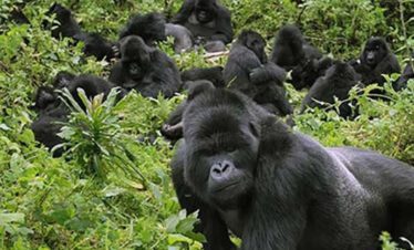 bwindi