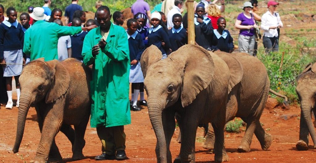 The Best Day Trips in Nairobi