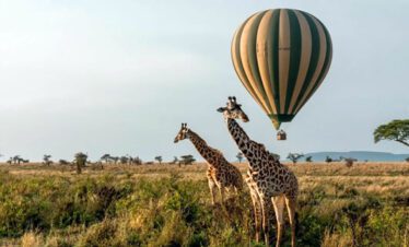 hot air balloon safari