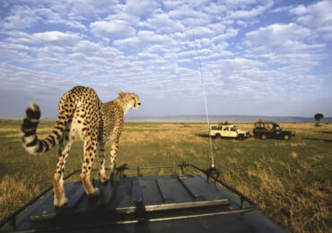 5 Days Tanzania Adventure Safari