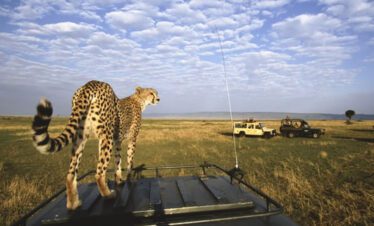 ngorongoro safari