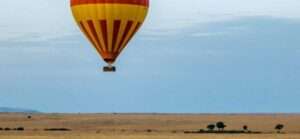 the-ultimate-guide-to-a-kenyan-safari