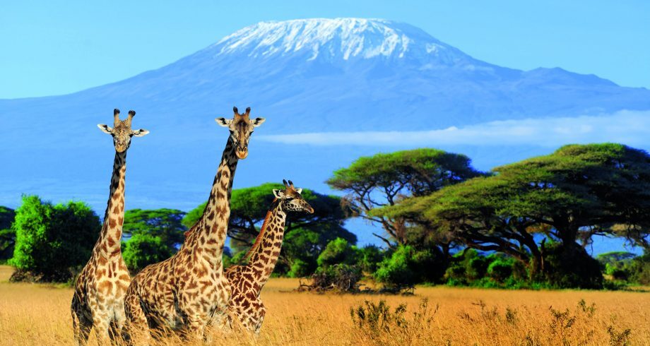 KILIMANJARO TREKKING.