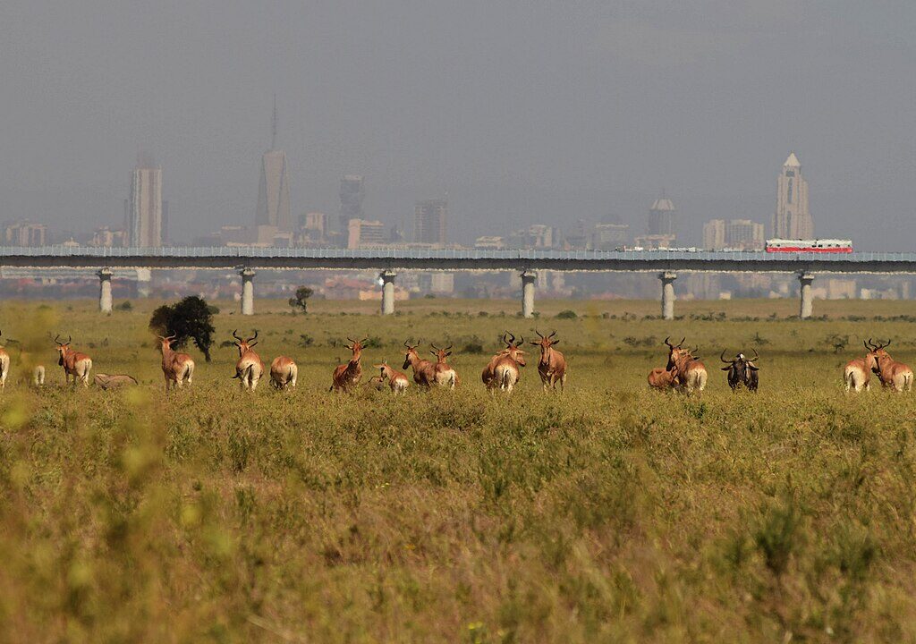 Nairobi National Park