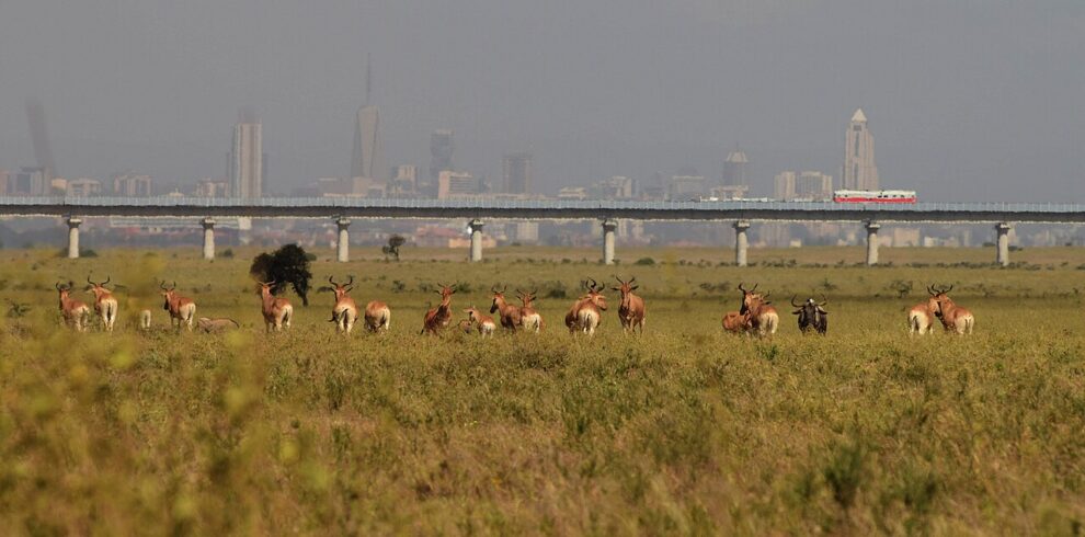 Intrusive SGR Railway in Nairobi National Park