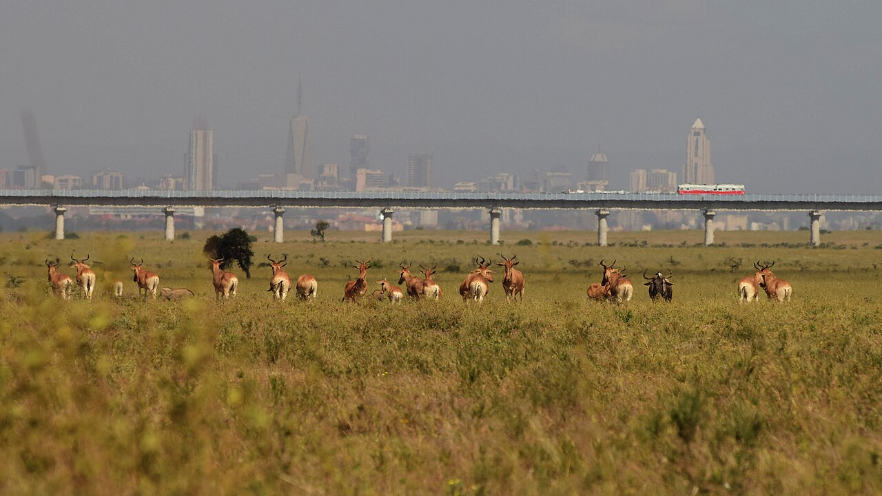 Nairobi National Park