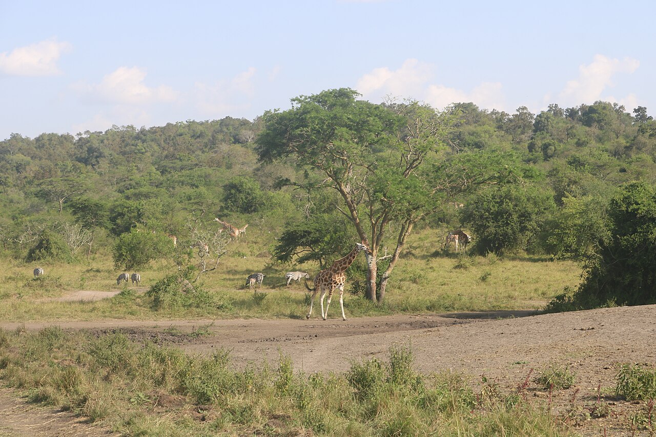 Lake Mburo National Park