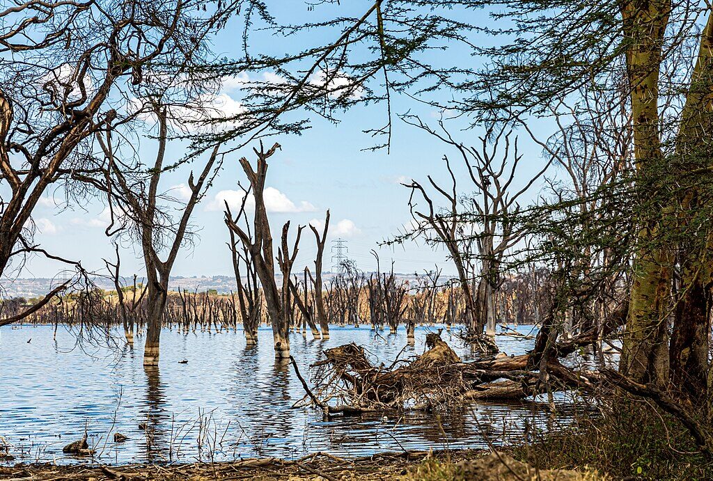 Lake Nakuru National Park