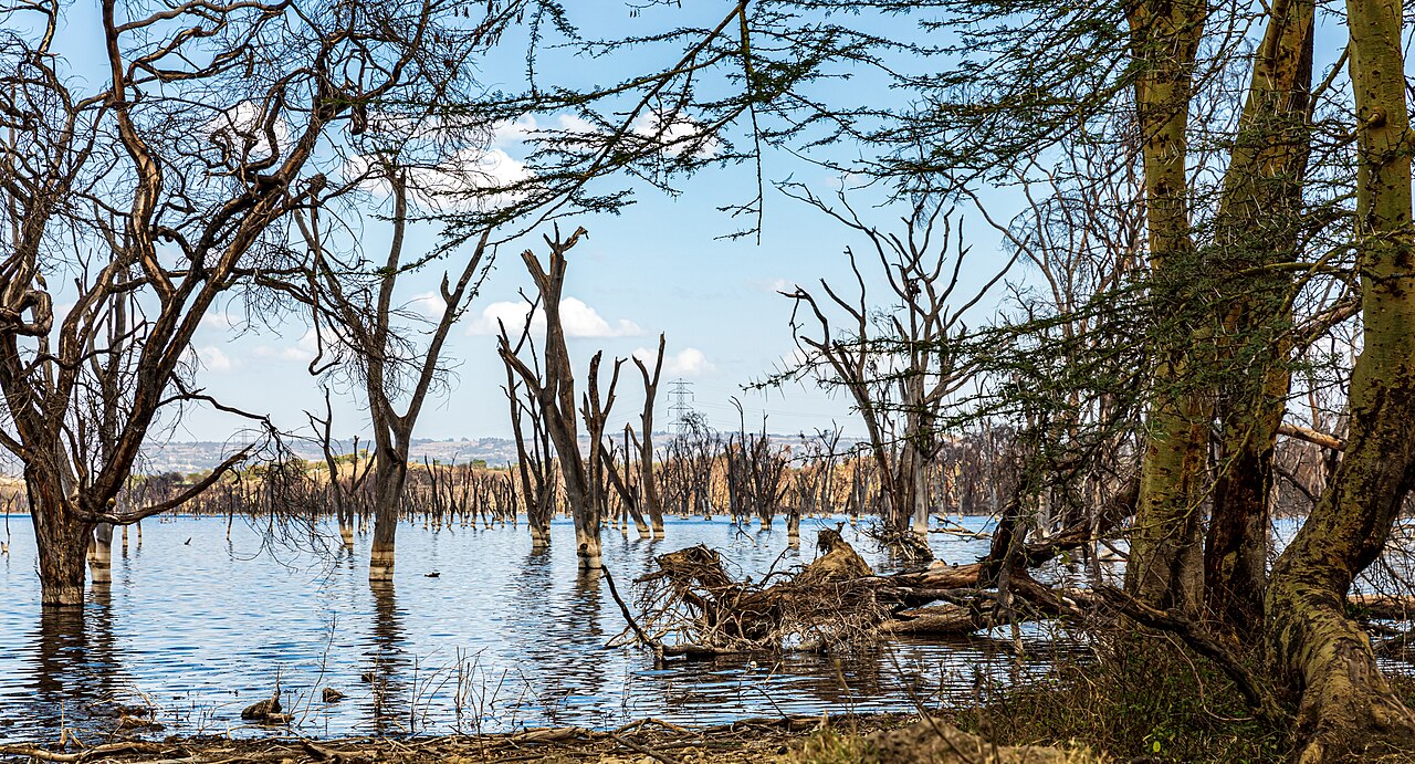 Lake Nakuru National Park