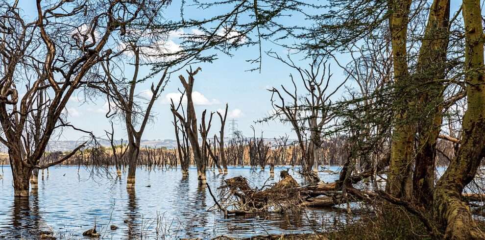 lake-nakuru-national-park