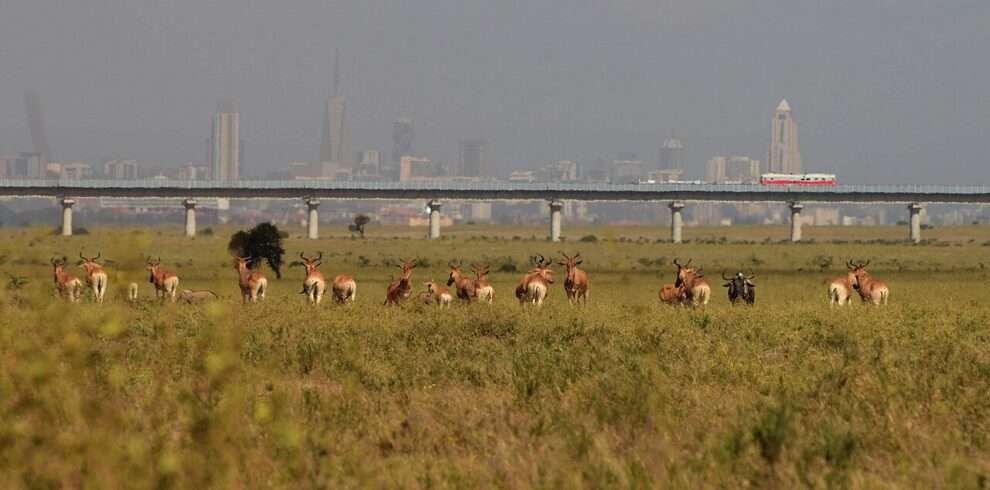 nairobi-national-park