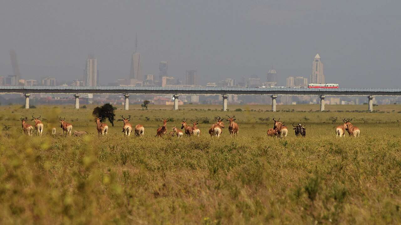 nairobi-national-park