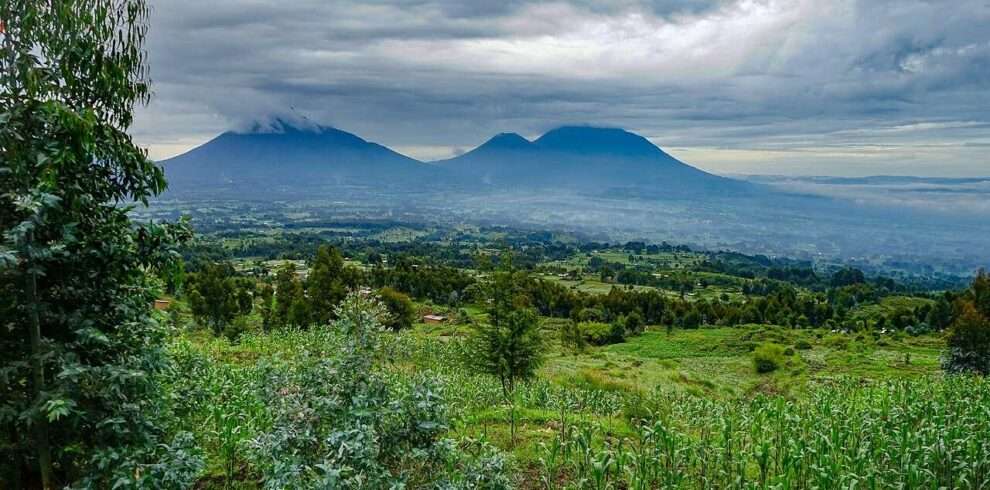 volcanoes-national-park-rwanda