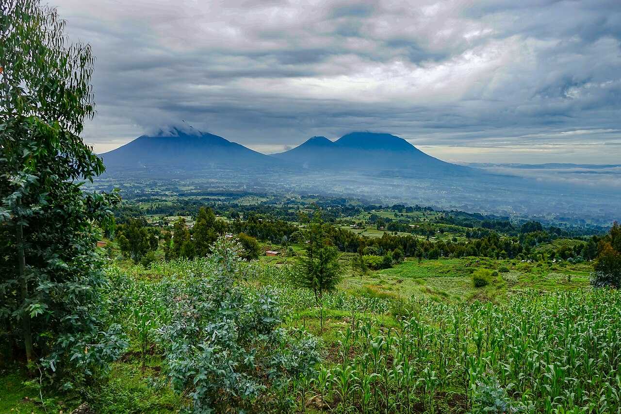 volcanoes-national-park-rwanda