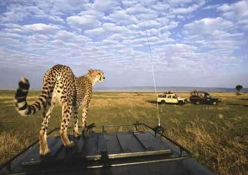 5-days-tanzania-adventure-safari
