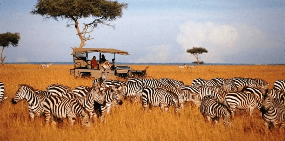 masai-mara-and-lake-nakuru-national-park-safari-4-days-3-nights