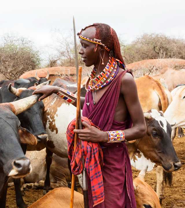 kenyas-most-unique-safari-experiences