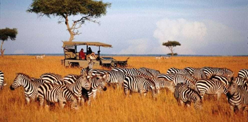 lake-nakuru-national-park-1-day-trip