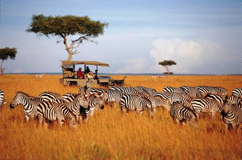 lake-nakuru-national-park-1-day-trip