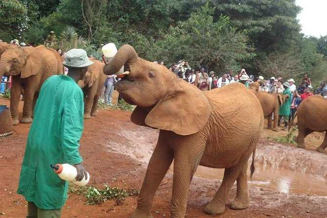 nairobi-full-day-excursion